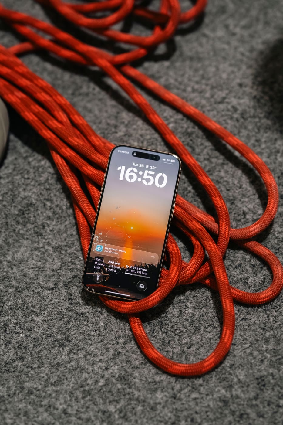 Member using the GymRealm branded gym mobile app